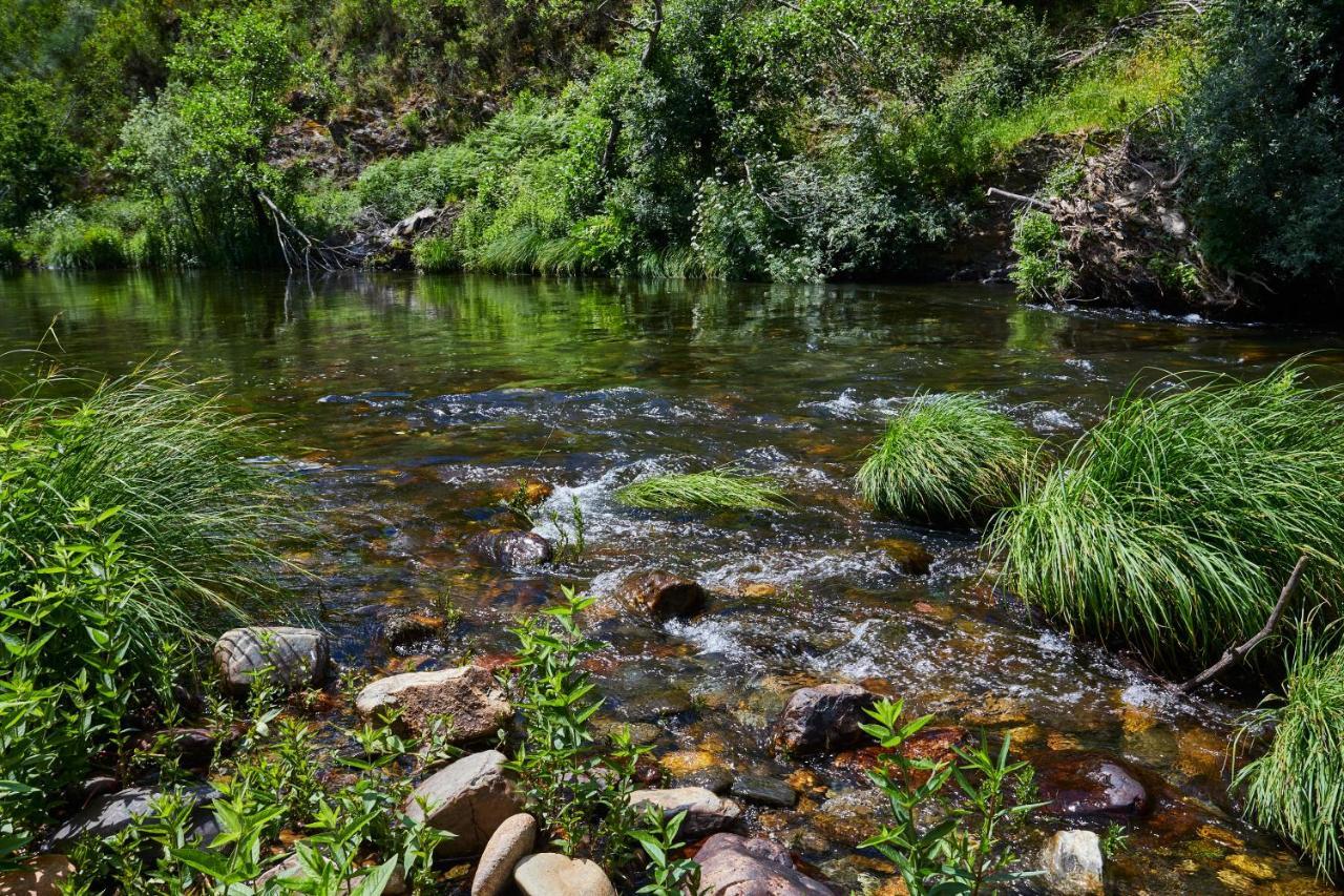 Cottage Da Paradinha: Passadicos Do Paiva - Arouca エクステリア 写真